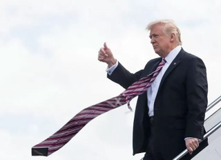 Illustration for article titled Trump Ties
